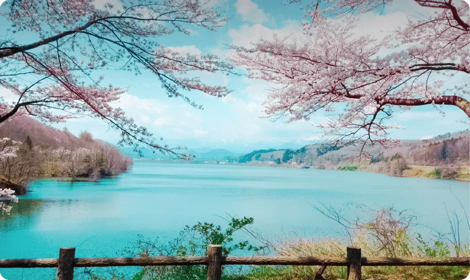 Photo Gallery